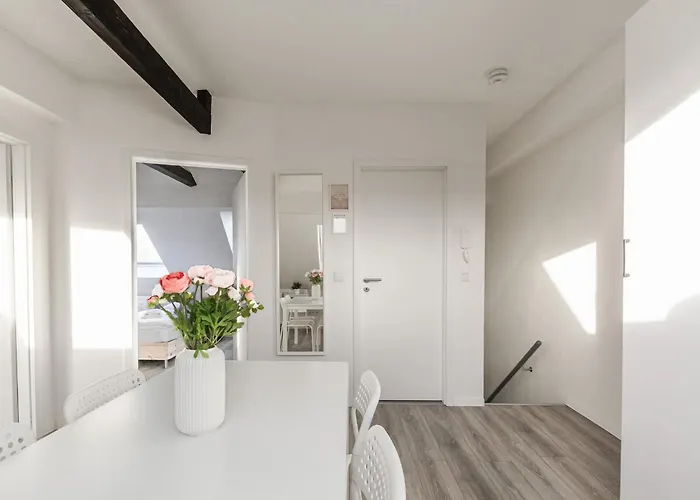 T&k - 1 To 4 - 20min To Tradefair Messe Airport Duesseldorf * Duisburg